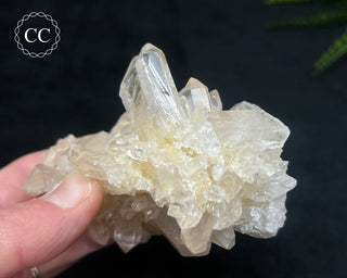 Clear Quartz Cluster #5
