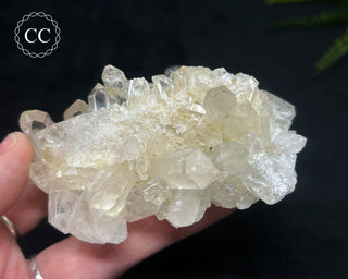 Clear Quartz Cluster #5