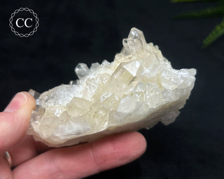 Clear Quartz Cluster #5