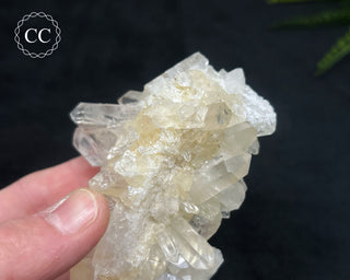Clear Quartz Cluster #5