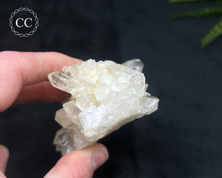 Clear Quartz Cluster #5