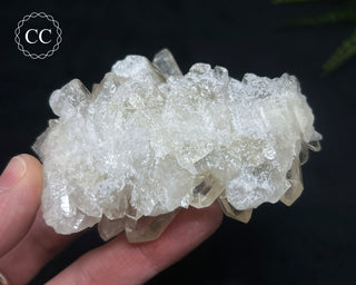 Clear Quartz Cluster #5