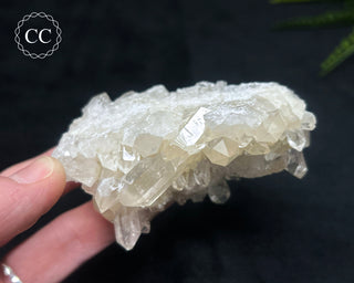 Clear Quartz Cluster #5
