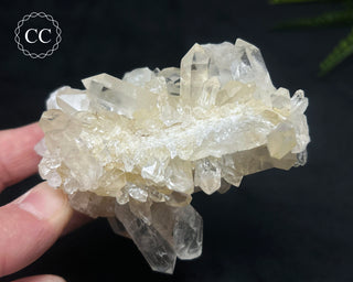 Clear Quartz Cluster #5