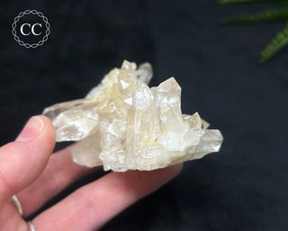 Clear Quartz Cluster #5