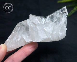 Clear Quartz Cluster #2