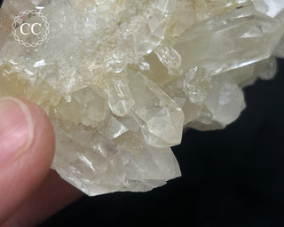 Clear Quartz Cluster #5
