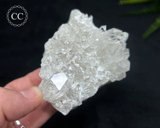 Clear Quartz Cluster #15