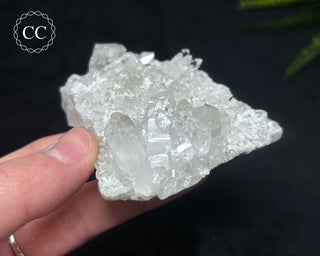 Clear Quartz Cluster #15