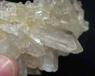 Clear Quartz Cluster #5