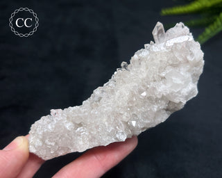 Clear Quartz Cluster #8