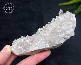 Clear Quartz Cluster #8