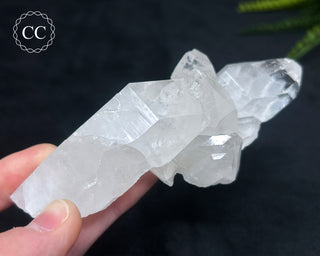 Clear Quartz Cluster #2