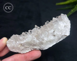 Clear Quartz Cluster #8