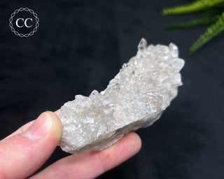 Clear Quartz Cluster #8
