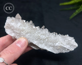 Clear Quartz Cluster #8