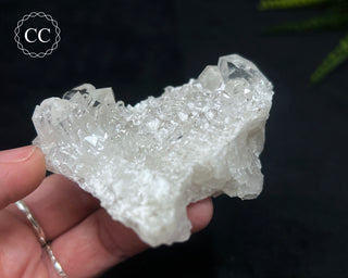 Clear Quartz Cluster #15