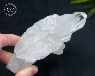 Clear Quartz Cluster #2