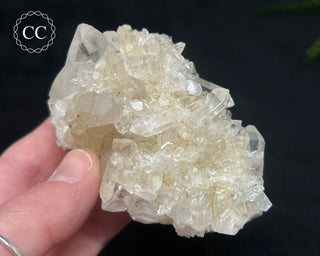 Clear Quartz Cluster #9