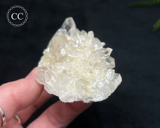 Clear Quartz Cluster #9