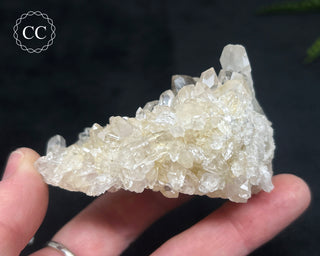 Clear Quartz Cluster #9