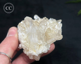 Clear Quartz Cluster #9