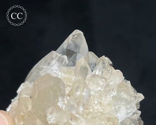 Clear Quartz Cluster #9