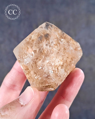 A hand holding a Clear Quartz Penetration Freeform from Brazil 
