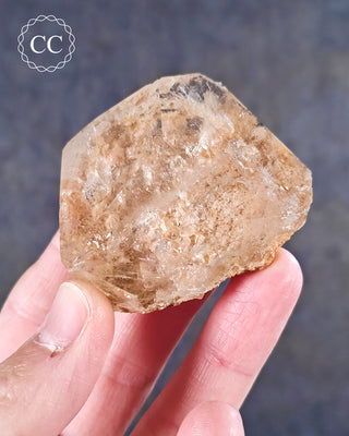 Clear Quartz Penetration Freeform #2
