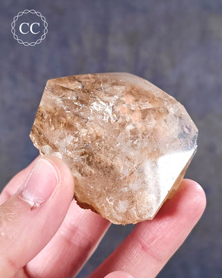 Clear Quartz Penetration Freeform #2