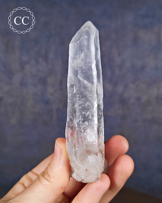 A hand holding a natural Clear Quartz Point from Brazil 