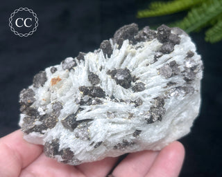 Cleavelandite with Lepidolite Specimen #1
