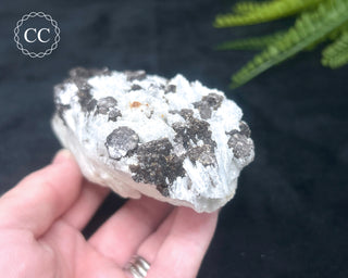 Cleavelandite with Lepidolite Specimen #1