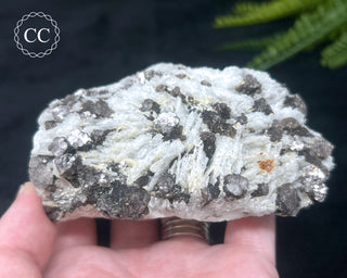 Cleavelandite with Lepidolite Specimen #1