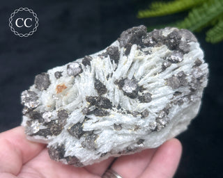 Cleavelandite with Lepidolite Specimen #1