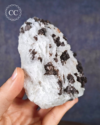 Cleavelandite with Lepidolite Specimen #1