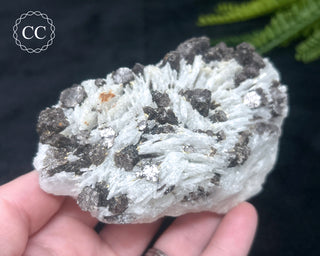 Cleavelandite with Lepidolite Specimen #1