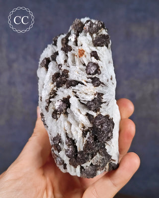 Cleavelandite with Lepidolite Specimen #1