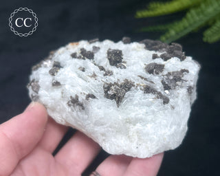 Cleavelandite with Lepidolite Specimen #1