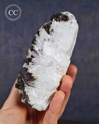 Cleavelandite with Lepidolite Specimen #1