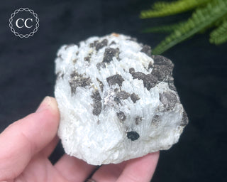 Cleavelandite with Lepidolite Specimen #1