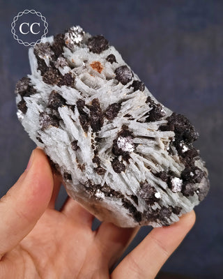 Cleavelandite with Lepidolite Specimen #1