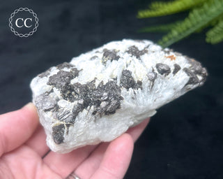 Cleavelandite with Lepidolite Specimen #1