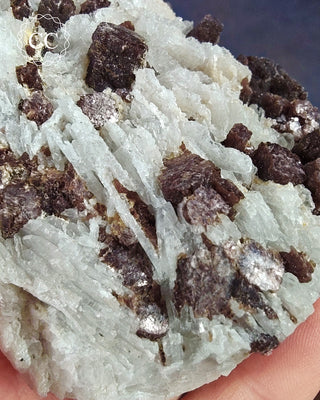 Cleavelandite with Lepidolite Specimen #1