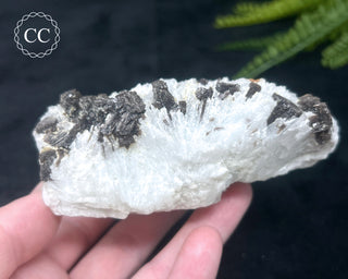 Cleavelandite with Lepidolite Specimen #1