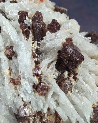 Cleavelandite with Lepidolite Specimen #1