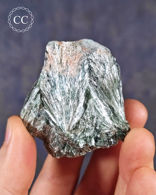 A hand holding a specimen of Clinochlore from the Korshunovskoye Iron Mine in Eastern Siberia
