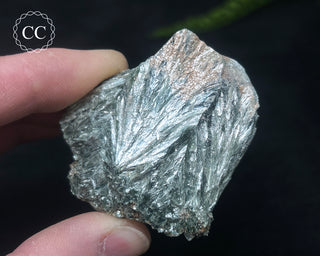 Clinochlore Specimen #1