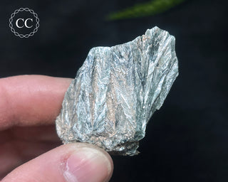 Clinochlore Specimen #4
