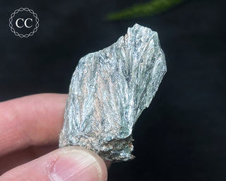 Clinochlore Specimen #4